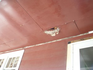 Ceiling - Before